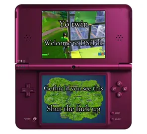 DSiTok very niche ❤️ #DSiTok #DSi #nintendo #nintendodsi