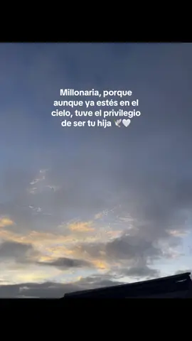 Mami, te extraño demasiado 🕊️ #miangeldelcielo #teextraño #mehacesfalta #teamareporsiempre 