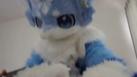 ルリィと朝活✨#けもの着ぐるみ #fursuit #furry 