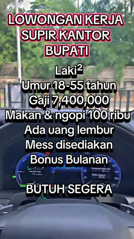 Lowongan supir kantor bupati penempatan disetiap  kantor Bupati  #lowongansupir #supirpribadi  #kantorbupati #fyp  #fouryou #info #lokerterbaru 
