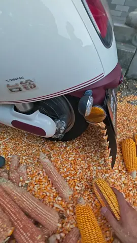 A tire can also be a corn sheller! (cr: Douyin 43613359464) #Smart #Traffic #amazingChina #Infrastructure #DIY #machine #amazingChinesepeople #upchinese