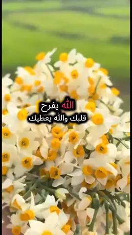 #دعوة_خير_وانتي_متعدي❤❤❤❤❤❤ #دعاء_جميل #دعوة #دعاء #تونسية🇹🇳🇹🇳 #تونس🇹🇳 #زينة_البلدان_تونس_الخضراء♥ 