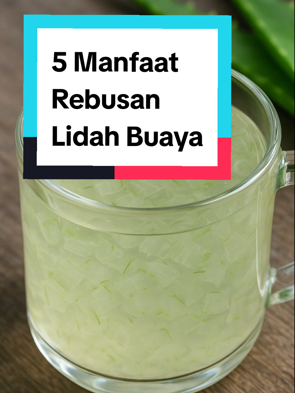 5 Manfaat Rebusan Lidah Buaya