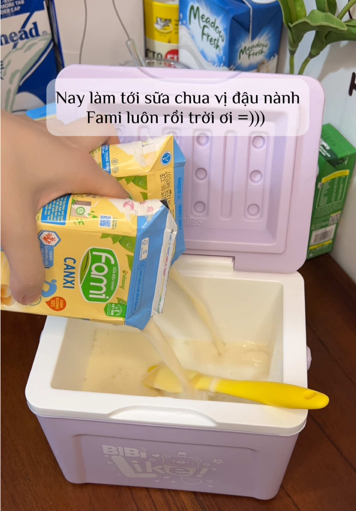 Sữa chua sữa đậu nành ??? 🌝 thử luônnn ngại gìi ! #chin🍋 #chinquachanh🍋 #sữachua #yogurt #sữachuafami 