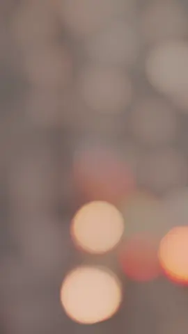 Taiping lake garden, mana lagi ada tempat yg special untuk drone shooting..?#taipinglakegarden #lakegardentaiping #taiping #taipingperak #perak 