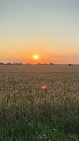 #dubai🇦🇪 #qatar🇶🇦 #ArabTikTok 