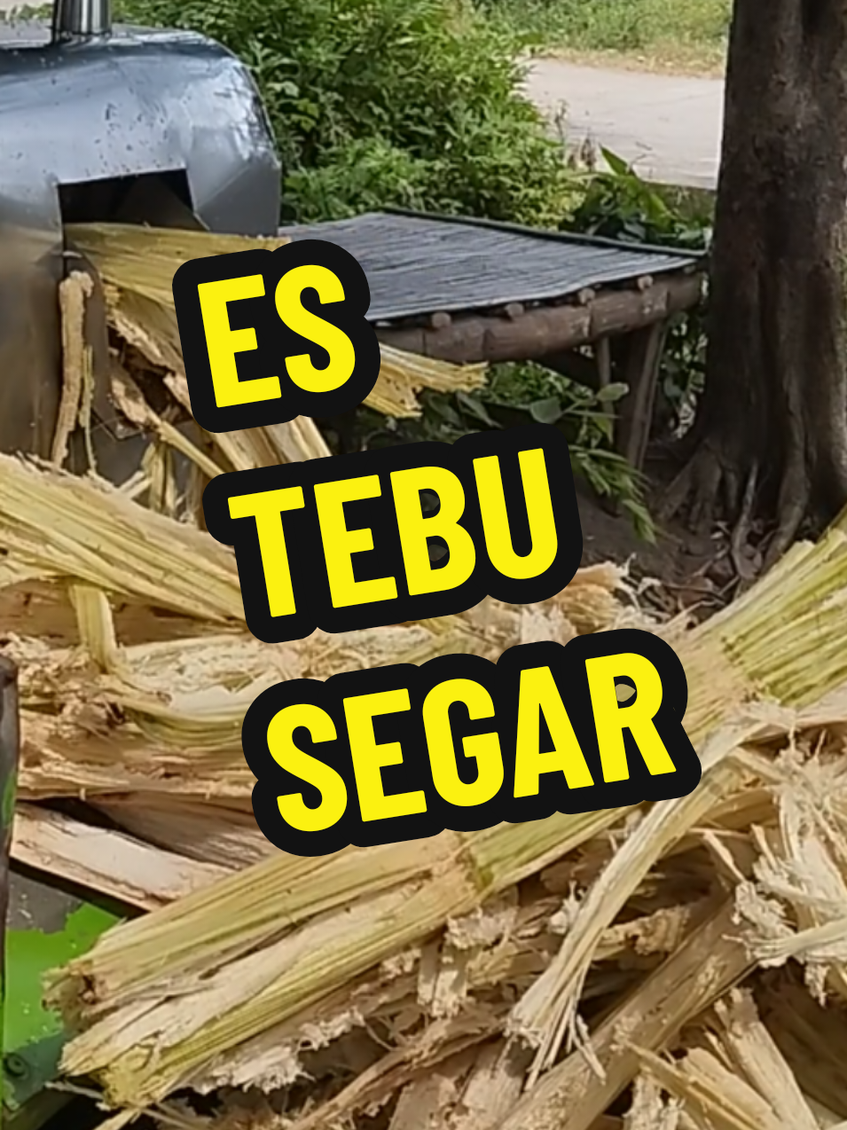 ASMR menikmati Es Tebu Sari Tebu di dapat dari air tebu. tebu diperas diambil airnya. air ini nnti yang di olah mjd gula. Tapi bisa jiga lagsung dinikmati. sensasi segarnya mengusir dahaga #ASMR #asmrvideo #fypシ゚viral #tebu #asmrtiktoks 
