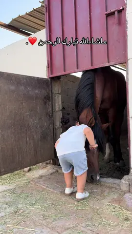 اذكرو الله ، ماشاءالله تبببارك الله 😍♥️♥️:                                                          #اكسبلور #تبوك #حقل #خيل #خيول #ماشاءالله 