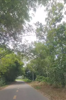 #doiphieulang  #xuhuong 