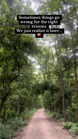 ❤️#chitwan_muser #thejunglelady #beautyofchitwan #beautifulnepal #chitwannationlpark #sauraha #bishajarital 