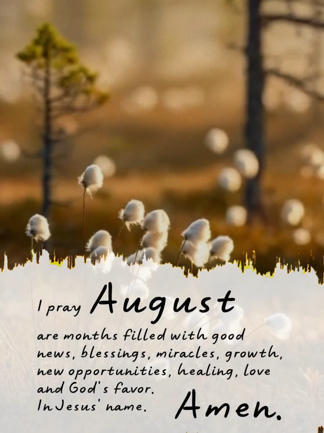 I pray August are months filled with good news, blessings, miracles, growth, new opportunities, healing, love and God's favor. In Jesus' name. Amen.  #CapCut #quotes #newmonth #august #welcomeaugust #helloaugust #newhope #newblessings #positivevibes #foryoupage #fypシ゚viral #fyp 