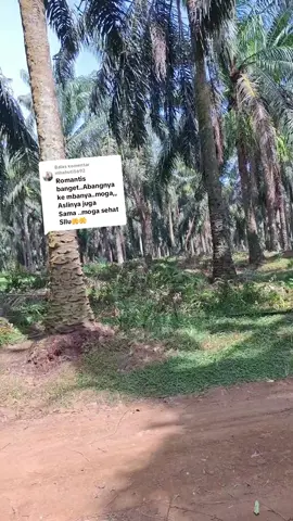 Membalas @mbahuti5692 istriku kelihatan cantik,🤭 #hiburan #romantis #suamiistri 