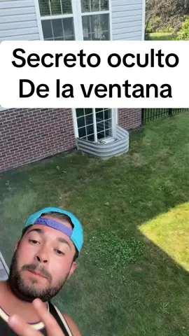 Que opináis? #reacciones #curiosidades #mrivis #greenscreenvideo 