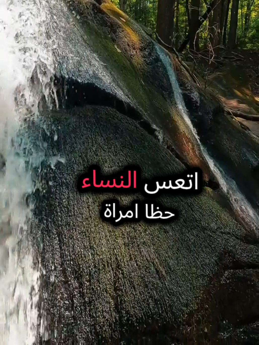 أتعس النساء حظا إمرأة ابتليت بزوج لا يعرف كيف يقدرها ليست تلك التي لم تتزوج، بل التي تزوجت من رجل لا يفهم قيمتها، لا يرى جمال روحها، ولا يُقدّر ما تتحمّله لأجله بصمت. هي ليست ضعيفة… لكنها فقط تُحب بصدق، وتصبر بكرامة. #كلام_يؤثر   #رسائل_للقلب   #أنثى_صامدة   #نصائح_للنساء   #محتوى_هادف 