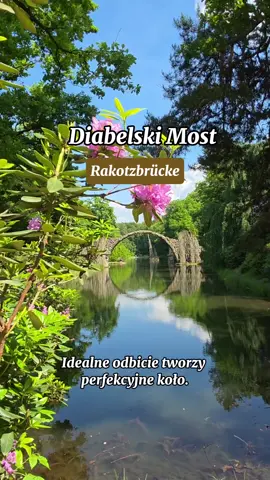 🛤️ Diabelski Most - 😈🌉 📍 Rakotzbrücke, Park Rododendronów Kromlau, Saksonia, Niemcy Kiedy słyszysz „Diabelski Most”, myślisz: horror, mrok, ucieczka w stronę światła? A tu niespodzianka! Rakotzbrücke w niemieckim Kromlau to jedna z tych atrakcji, które są... zbyt idealne, żeby były prawdziwe. Serio - aż człowiek zaczyna podejrzewać, że ten most faktycznie powstał w wyniku jakiegoś mrocznego układu z diabłem. Bo kto normalny buduje most, który tworzy idealne koło z odbiciem w wodzie? 🔮 Zbudowany w XIX wieku, nie służył nigdy do chodzenia - i może dobrze, bo byłby to najbardziej fotogeniczny zakaz wstępu w historii. 📸 👉 Wskazówki praktyczne: 🔹 Miejsce znajduje się w Parku Rododendronów w Kromlau - wejście darmowe 🔹 Najlepiej przyjechać rano - wtedy jest szansa na ciszę, spokój i może nie brak ludzi, ale zdecydowanie mniejsza ilość.  Uwaga‼️‼️problem z internetem.  Nie było nigdzie zasiegu. Dla komfortu psychicznego, zróbcie sobie screeny z rozkładem jazdy pociagów i autobusów. 📍Odwiedziliscie już to miejsce?  #photooftheday #travelblogger #podróż #travel #travelinspiration #polecajka #gdzienaweekend #gdzienaurlop #inspiracjepodróżnicze #instatravel #Rakotzbrücke #DiabelskiMost #Kromlau #Saksonia #mosty #germany #bliskogranicy #