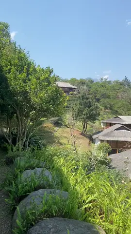 Mình về thành thị xa xôi  Nhà cao còn nhớ núi đồi nữa chăng … #chill #canhdep #traveltiktok #yenbai #tulechampresort 