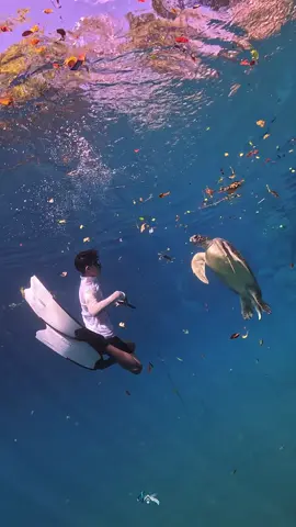 #muna #moko #underwater 