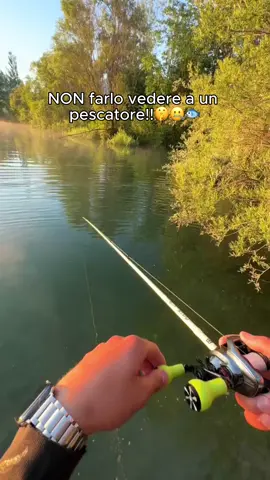 I pescatori non vogliono che tu lo sappia 👀🎣 Questa cam mostra tutto sott’acqua          👇link in bio👇#pesca #fishingitalia #trucchipescatore #fishinglife #camsubacquea ”