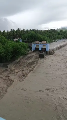 高雄楠梓仙溪水流