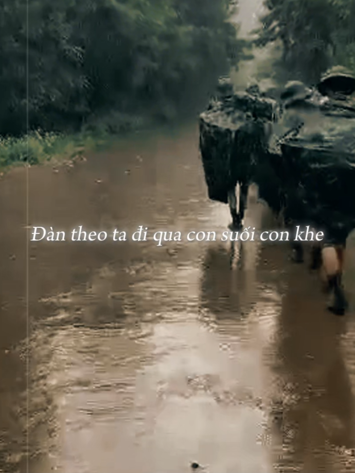 Đi dân nhớ, ở dân thương, ở đâu dân khó ở đó có Bộ Đội #antertainment #nhachaymoingay #betamusic #giaidieuxua #nhac #bodoi #rungxanhvangtiengtalu #huongly #bodoicuho