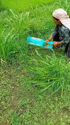 #reddit 