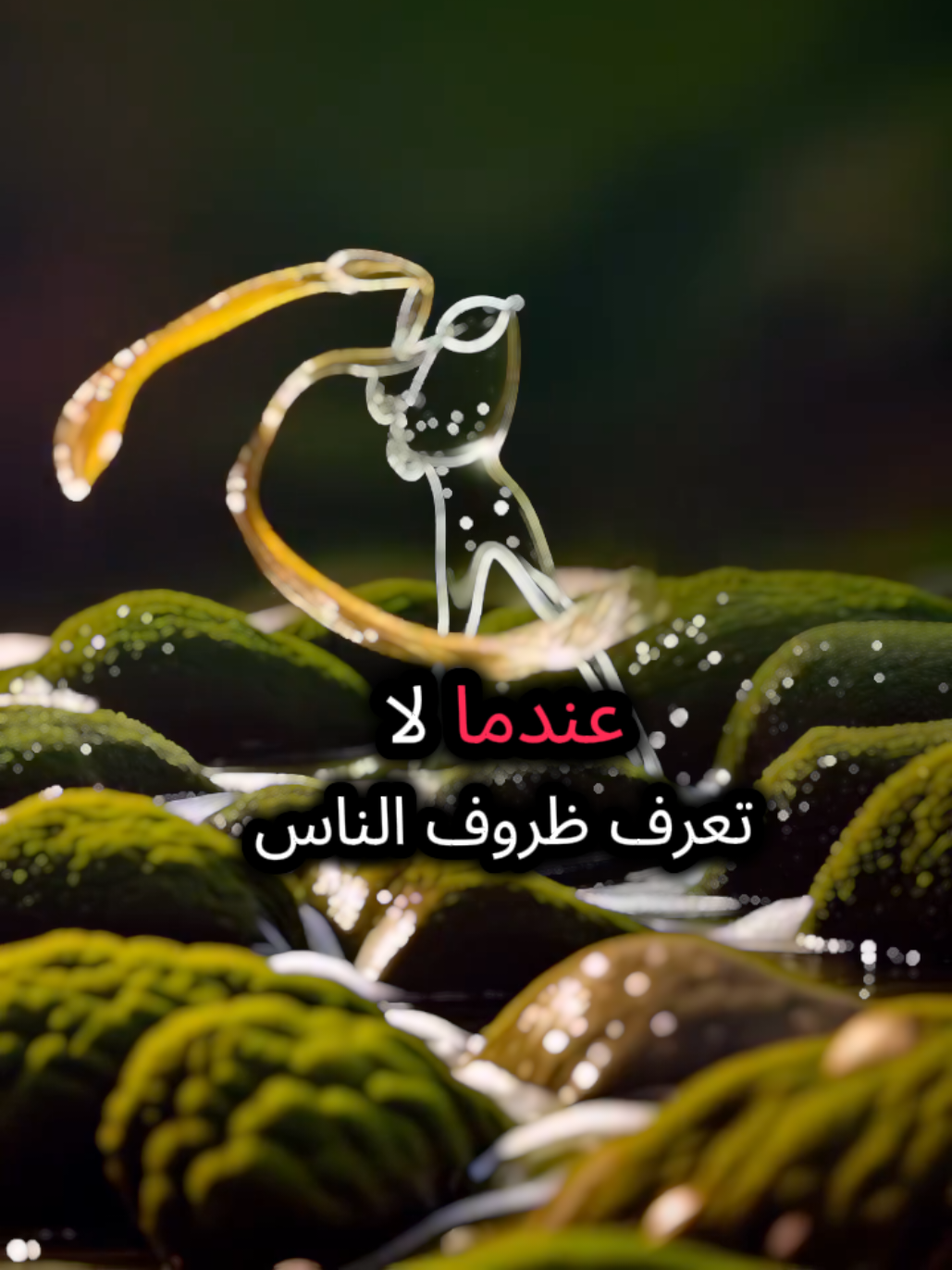 عندما لا تعرف ظروف الناس اغلق فمك ولا تتفلسف #عباراتكم_الفخمه📿📌 #كلام_من_ذهب #محتوى_هادف #عبارات #اقتباسات 