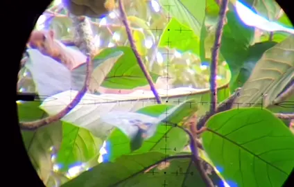 nhạc cuốn quá#xh #xuhuongtiktok #pcpfxsăn🐿️🐿️ #dammepcp #socrung 