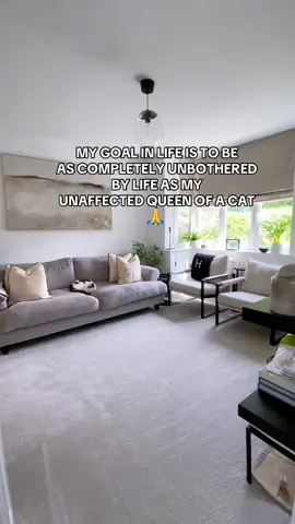 I did a complete reset and she didn’t move an inch! Unbothered is the goal 😂 #CleanTok #cleaningtiktok #cleanwithme #relateable #reset #cleanhome #housereset #nancymeyersaesthetic #homecleaning #homedecor #laundry #clean #girly #washing #neutralaesthetic #neutralhomedecor #neutralhome #taylorswift #cleaningvlog #pintrestaesthetic 