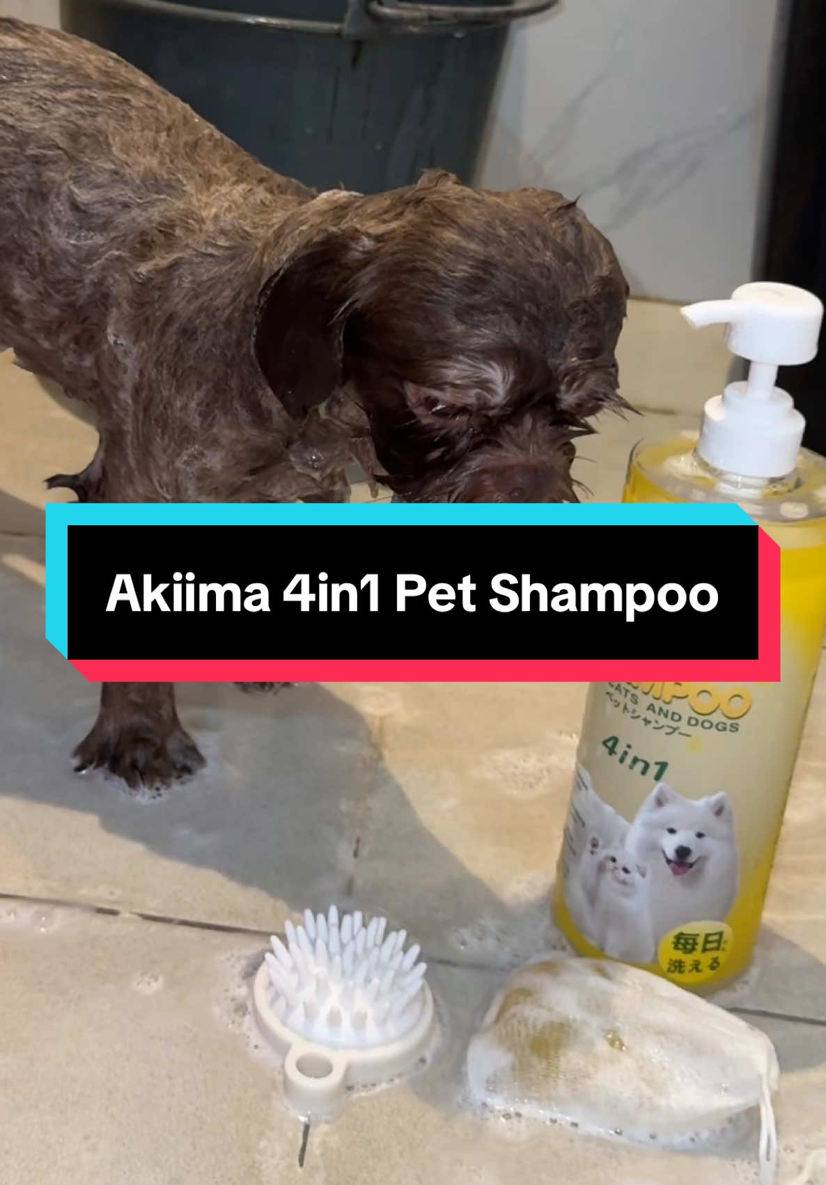 For Dogs and Cats na to, hndi na kayo mabibitin sa small version kasi my available na 1L tapos may pa-Freebies pa napaka mura lang, sulit na sulit  #akiika #akiikaherbalpetsoap #akiikapetshampoo #akiikaherbalpetshampoo #dogshampoo 