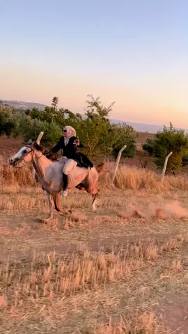 Leylim ley …#otantikatçifliği #rumeysademirkirann #gaziantep #gaziantepprovince #horsegirl 