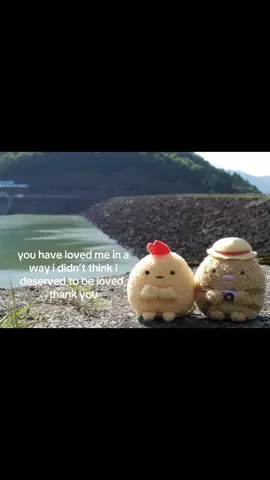 love you forever #iloveyou #stuffedanimals #alliwantisyou #fyp #foryour #xyzabc #loveyou 