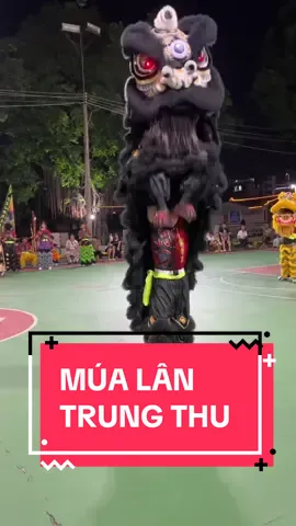 Múa Lân Hoa Mĩ Bao Nhiêu Luyện Tập Vất Vả Bấy Nhiêu #mualansurong #liondance 