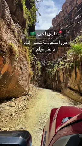 وادي لجب في جازان، شق صخري طوله أكثر من 15 كيلومتر وميّاهه تمشي طول السنة! جدرانه ترتفع مئات الأمتار، والظل والموية والنباتات تعطيك إحساس كأنك في غابة استوائية 🌴 تمشي وسط الموية، وتتسلق الصخور، وكل خطوة فيه مغامرة! بس انتبه… لا تروح له وقت الأمطار، السيول هناك خطيرة. إذا تحب المغامرة، هذا المكان لك   
