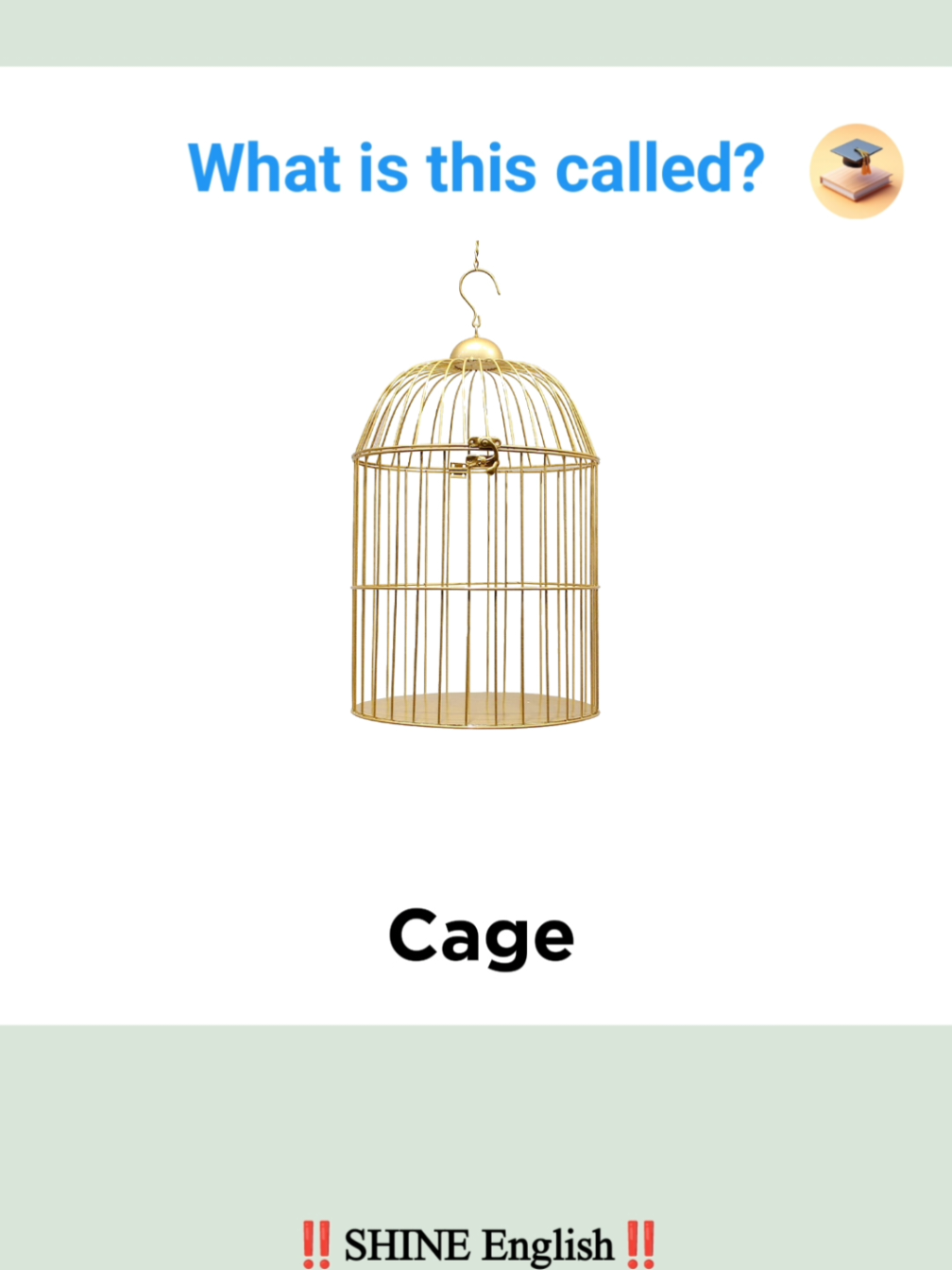 Part 43||English Vocabulary with Pictures | Learn Words like Crate, Cage, and More#viewsproblem #LearnEnglish #EnglishForBeginners #EnglishVocabulary #VocabularyQuiz @MH SPEAK 