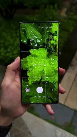 Take a photo with Samsung and then delete a small leaf on the roadside S25Ultra photography