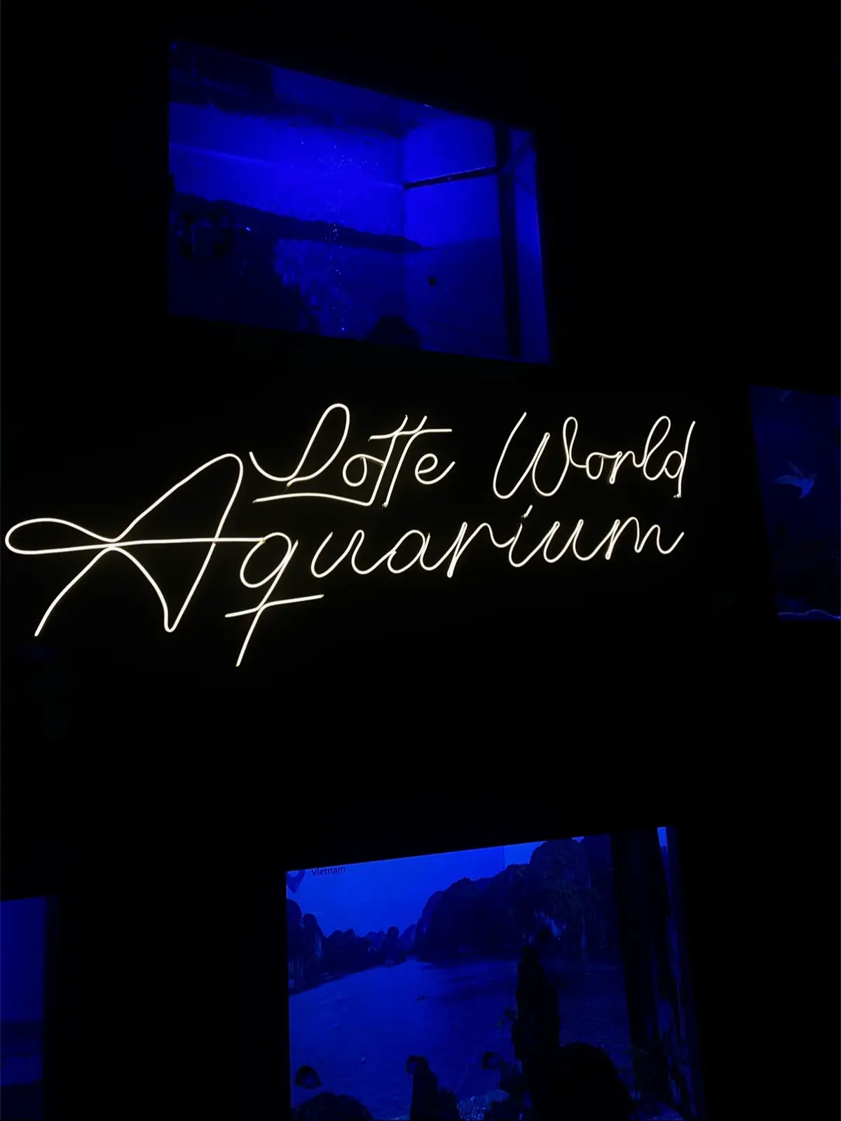 Tuiii sẽ quay lại đây khiii mà tuii yêuuu được người thật sự tử tế 