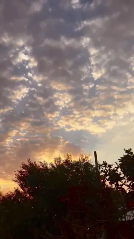 في رجاء أن تصبح النهاية سعيدة لتليق بهذه العذابات 🖤 #عبارات #عباراتكم 