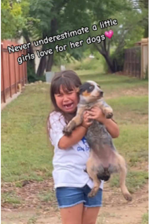 Dogs are crying after reunited with their owners ❤️ 🥺 #dog #dogsoftiktok #doglovers #puppy #reunion #reunited #crying #emotional #hearttouching #heartwarming #heartmelting #tearsofjoy #happytears #wholesome #fyp