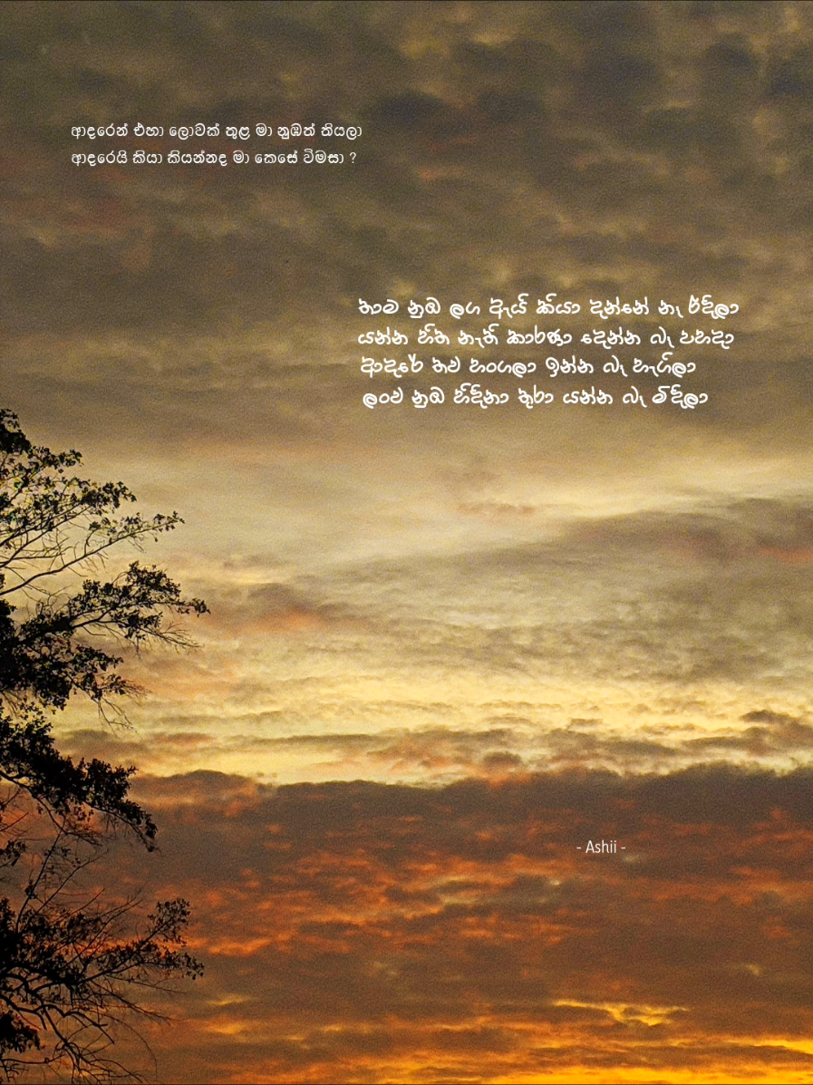 Wait wait for drop !🥹🎧 - Thama nuba laga  #onemillionaudition #songlyrics #sinhala #dropmusic #fyppp #fyp 