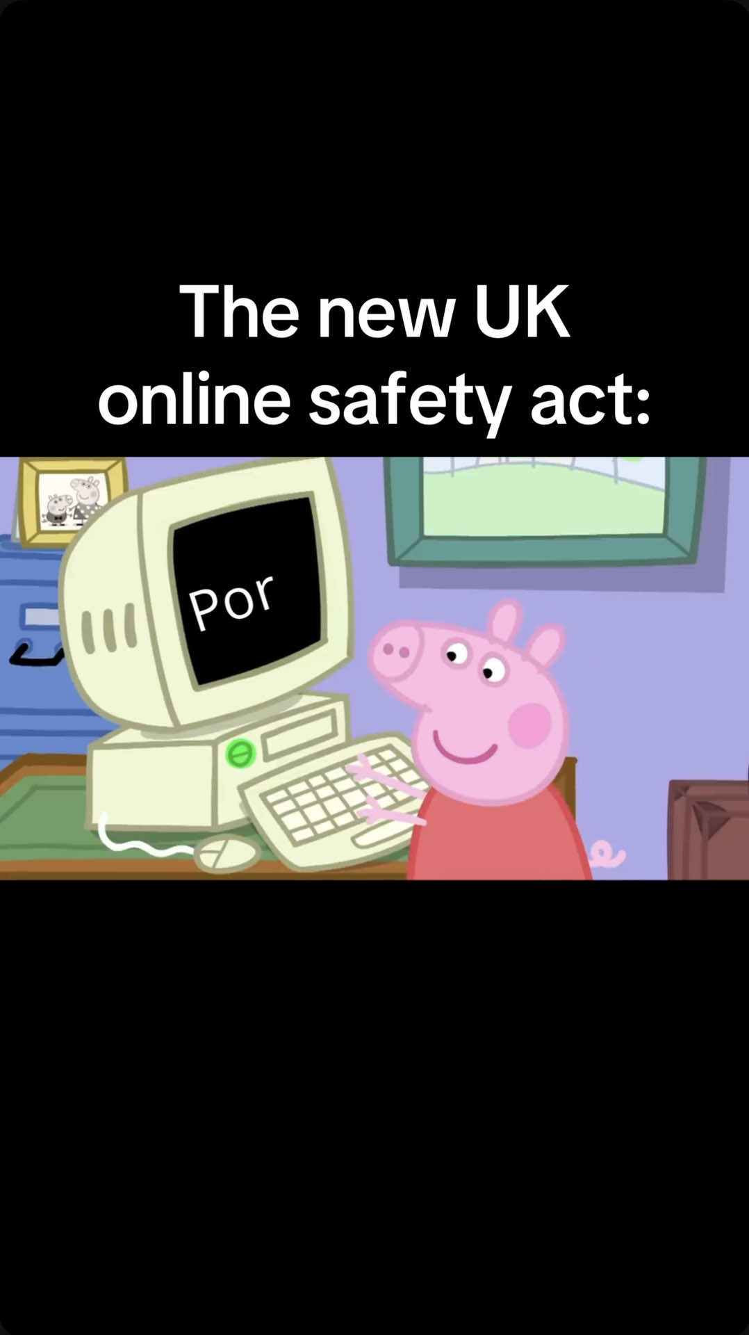 Busted for busting #UK #UKGovernment #OnlineSafetyBill #OnlineSafetyAct #Busted #PeppaPig 