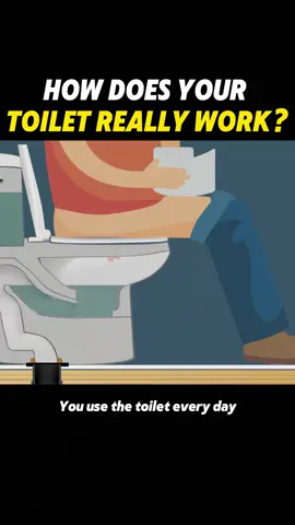 How does your toilet really work #Science #knowledge #toilet 