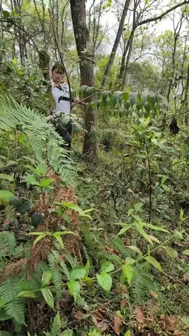 stranded #sinhton #Vlog #camping #betamreview 