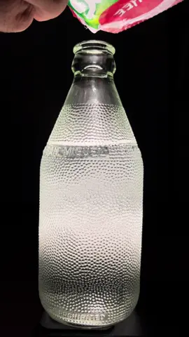 ginbilog x lychee 🔛🔝