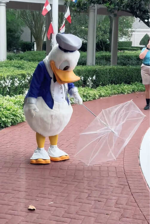 Disney’s funny Donald.#fyp #foryou #funny #disneyland 