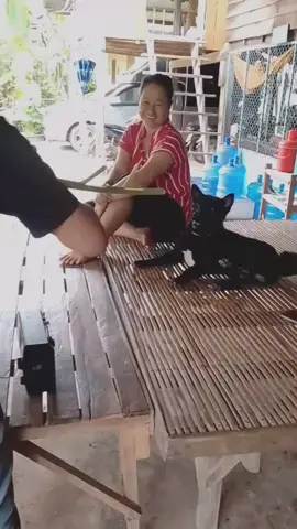 แสดงได้สมบท