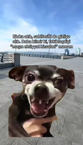 Şapşik🤣🤣 #CapCut 