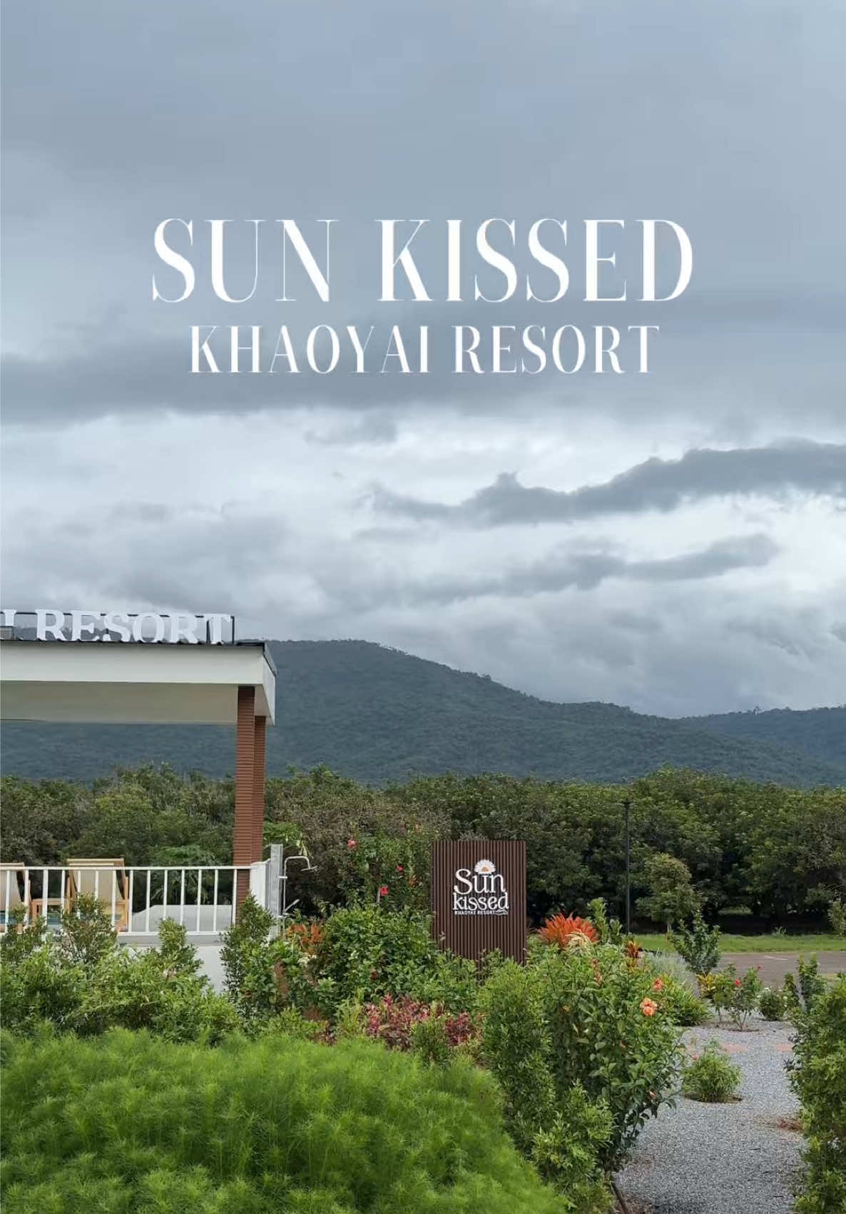 #ที่พักเขาใหญ่ ✨เปิดใหม่ Sun Kissed Khaoyai Resort ที่พักที่โอบล้อมไปด้วยภูเขาและธรรมชาติ ชมวิวภูเขาได้แบบพาโนรามา นอนดูวิวจากบนเตียงได้เลย Vibes ดีสุด ๆ แถมมีมุมถ่ายรูปสวยๆ แบบจัดเต็มเลย เริ่มต้นแค่คืนละ 1,500 เท่านั้น🥰 📍 @SUN KISSED KHAOYAI   #เขาใหญ่ #ที่พักปากช่อง #ที่เที่ยวเขาใหญ่ #sunkissedkhaoyairesort 