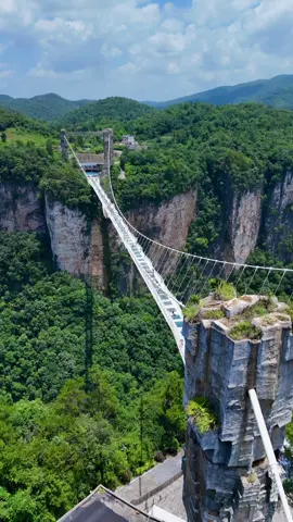 Sky above. Canyon below. And just glass between. Zhangjiajie Glass Bridge – not for the faint-hearted. The view? Unreal. The drop? 300 meters of pure adrenaline. 📍Zhangjiajie Grand Canyon Glass Bridge 📍Wulingyuan District, Zhangjiajie City, Hunan Province, China 🇨🇳  🏞️ China’s raw nature at its finest. 🌬️ Walk it if you dare. ⸻ #zhangjiajie  #glassbridge  #nature  #fyp  #china 