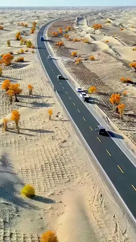This Road Survives a Moving Desert—Could it work in the U.S.?#desertengineering #smartinfrastructure #greentech #desertroad #usa 