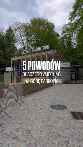 Rodzinna przygoda, która smakuje, bawi i zostaje w pamięci 💚 📌 Zapisz ten pomysł na wspólny dzień – i wróć, kiedy będziecie planować wypad! #PKLGóraParkowa #ParkZdrojowy #RajskieŚlizgawki #KrynicaZdrój #atrakcjewKrynicy 